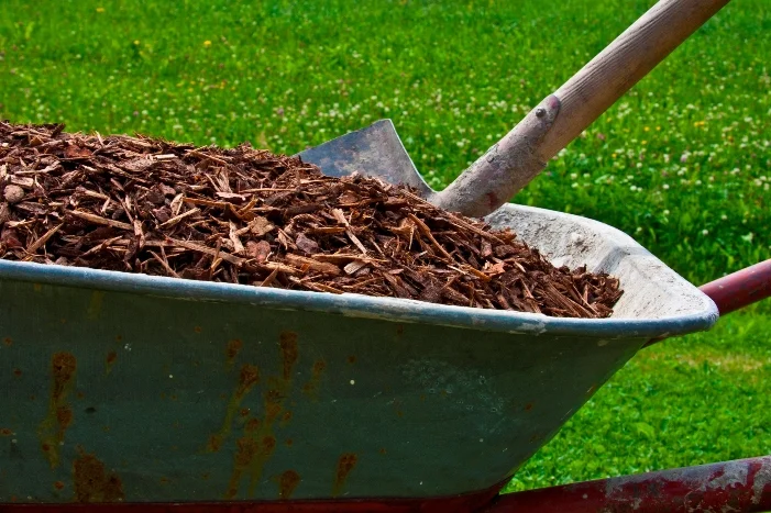 Schubkarre voll mit Rindenmulch und Spaten